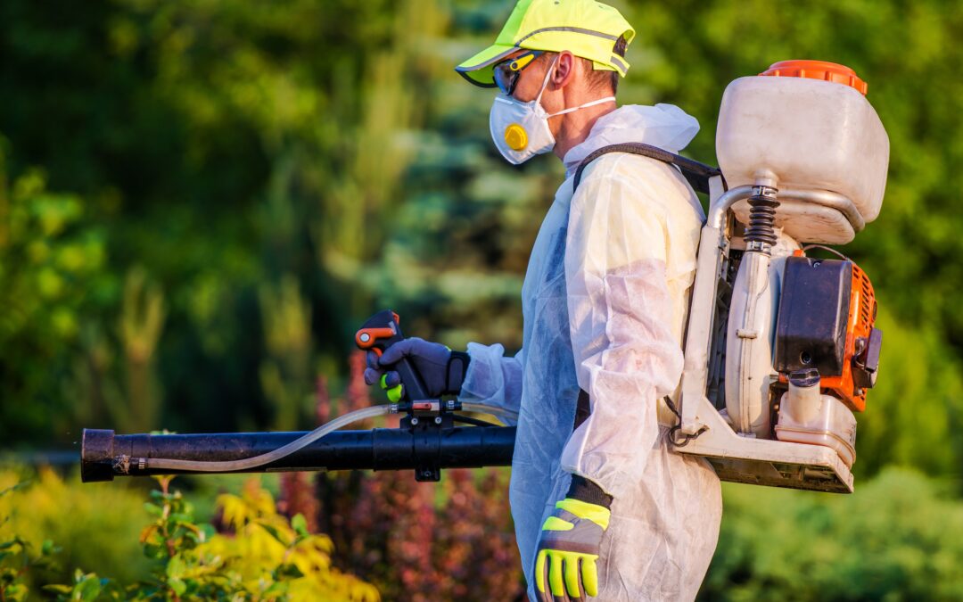 The Importance of Perimeter Pest Control
