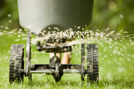 Looking to have a beautiful, weed-free lawn? Keyman Fertilization & Weed Control is your solution!