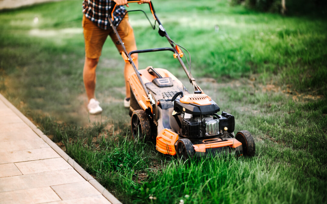 Keyman Lawncare: Keep Your Lawn Thriving Year-Round