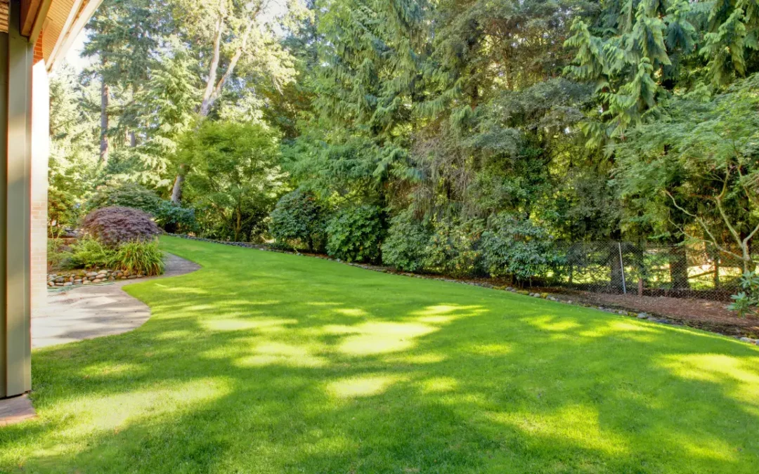 Cultural Tips to Keep Your Lawn Healthy!